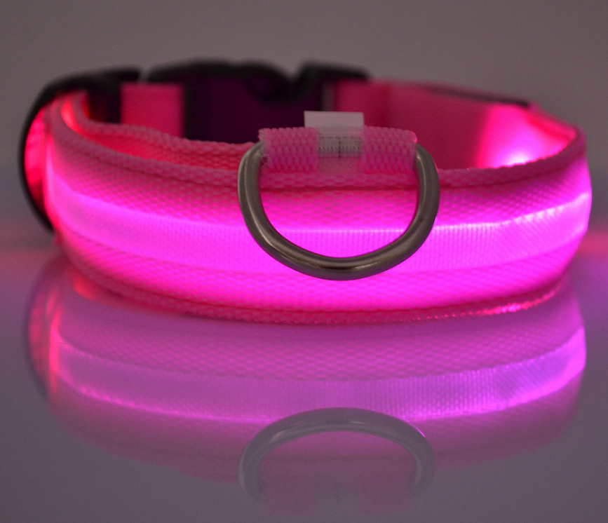 Nylon LED Pet Dog Luminous Collar: Night Safety Flashing Glow in Dark Dog Cat Leash