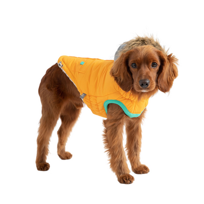 Parka marinera de invierno GF Pet - Amarillo