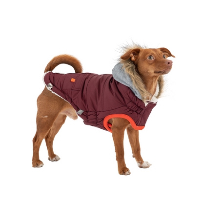 GF Pet Winter Sailor Parka - Burgundy