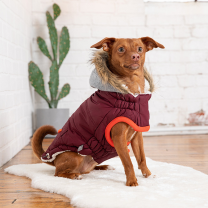 GF Pet Winter Sailor Parka - Burgundy