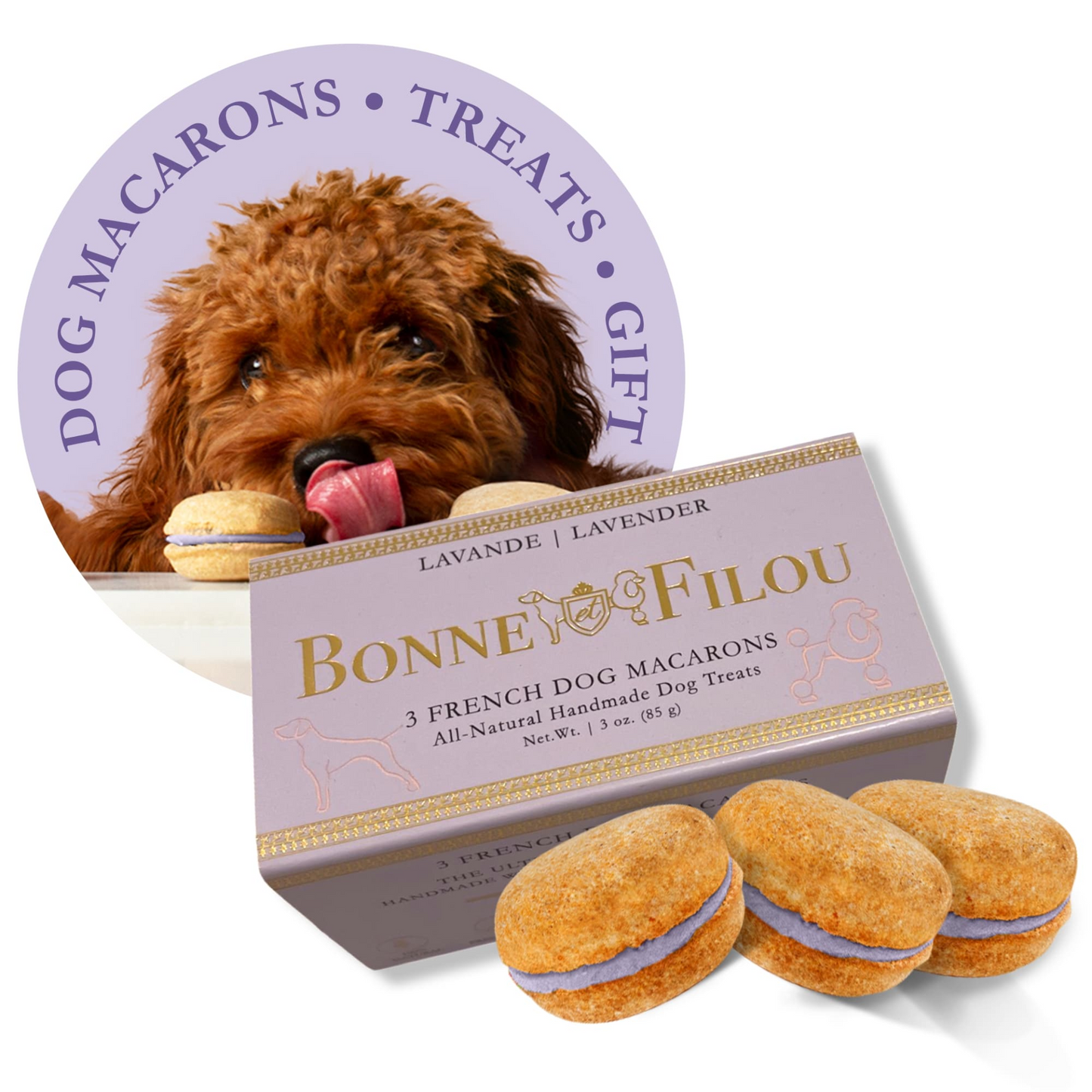 Bonne et Filou Dog Macarons (Box of 3)