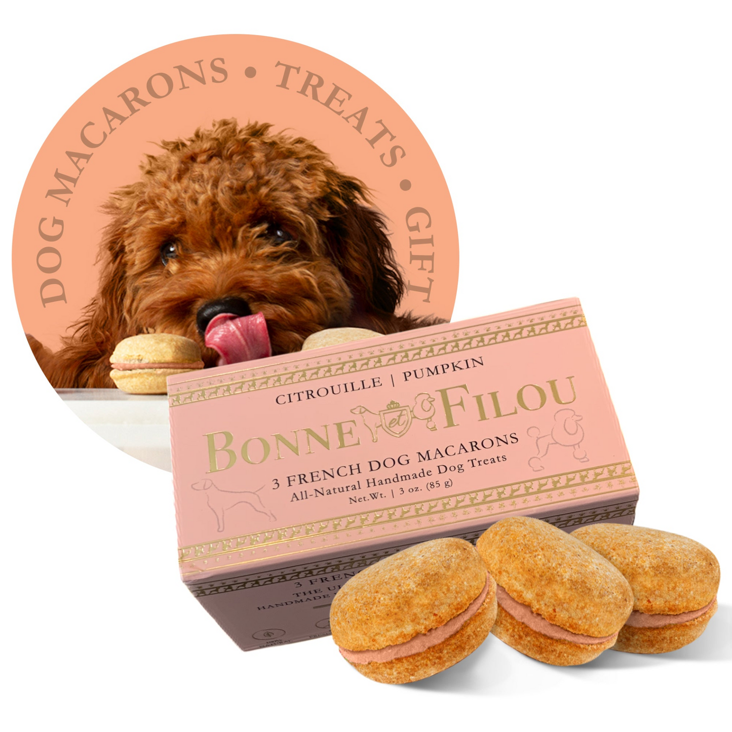 Macarons para perros Bonne et Filou (Caja de 3)