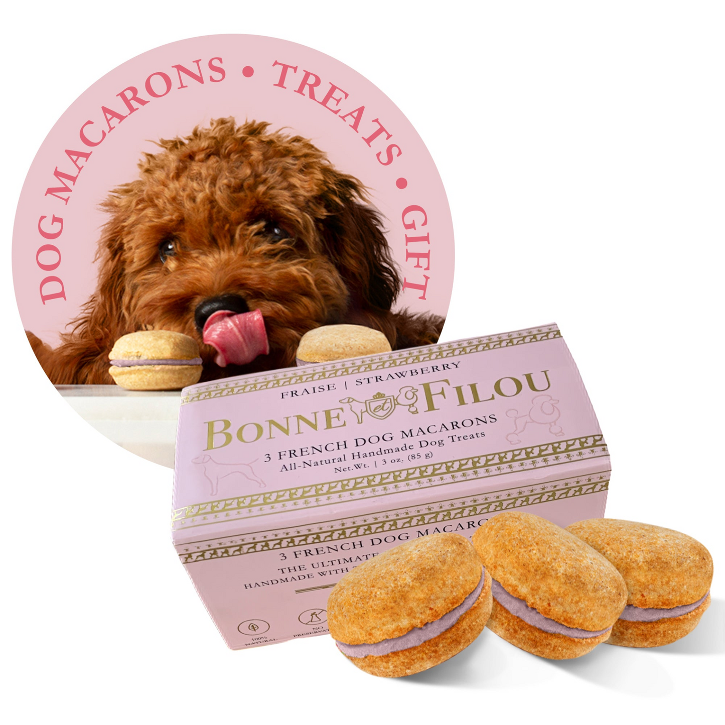 Bonne et Filou Dog Macarons (Box of 3)