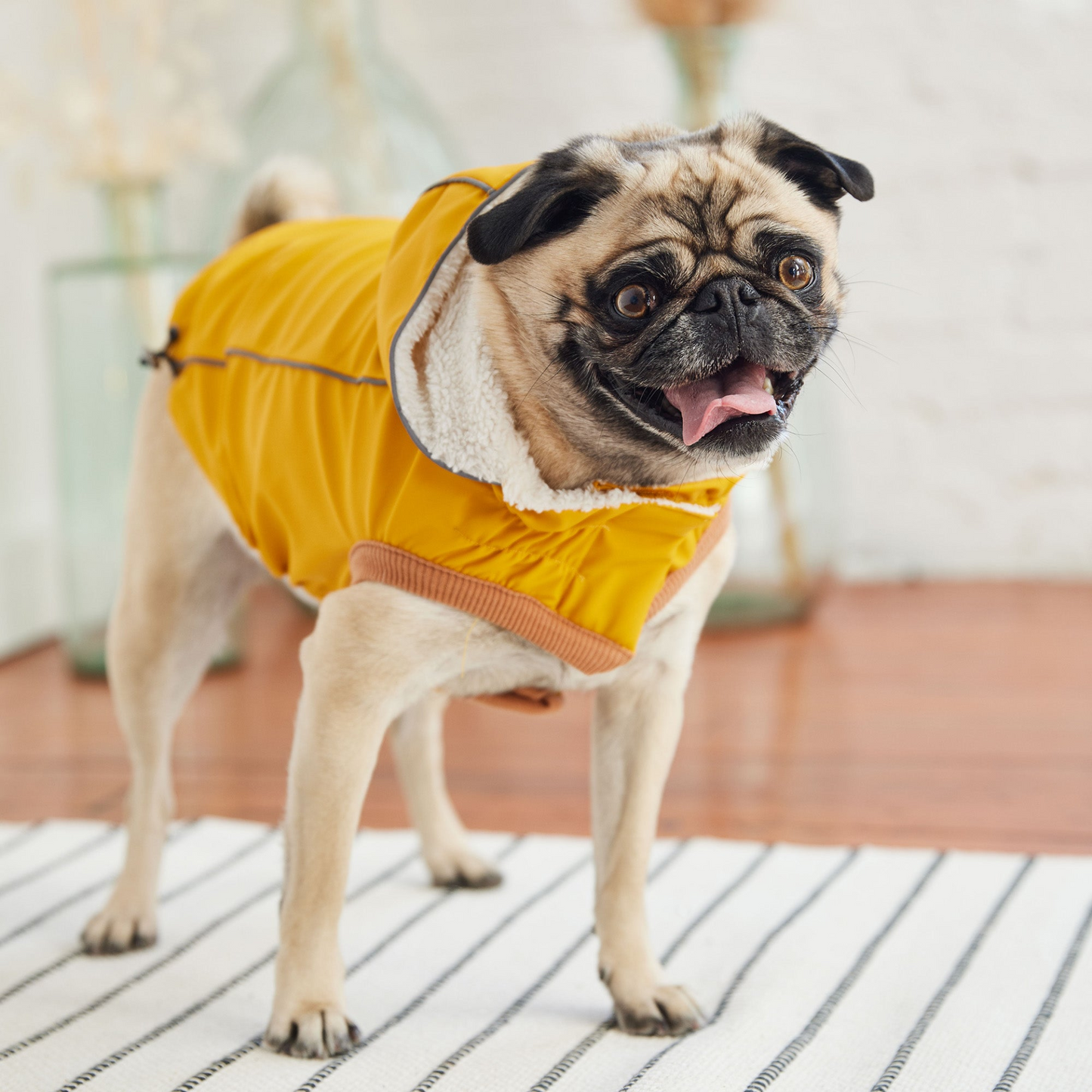 GF Pet Insulated Raincoat - Yellow