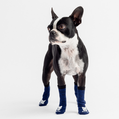 Calcetines de compresión para perros - Azul