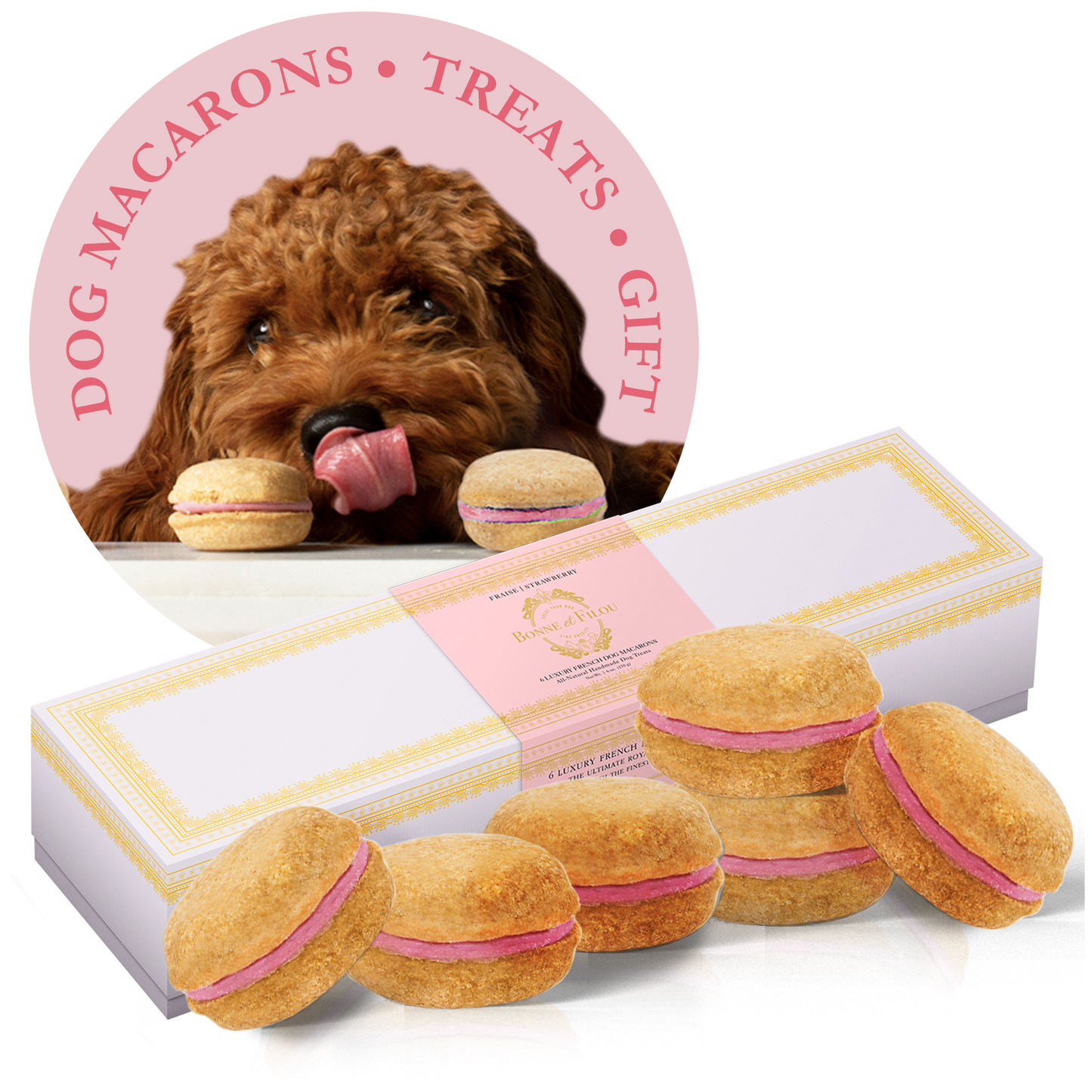 Macarons para perros Bonne et Filou (Caja de 6)