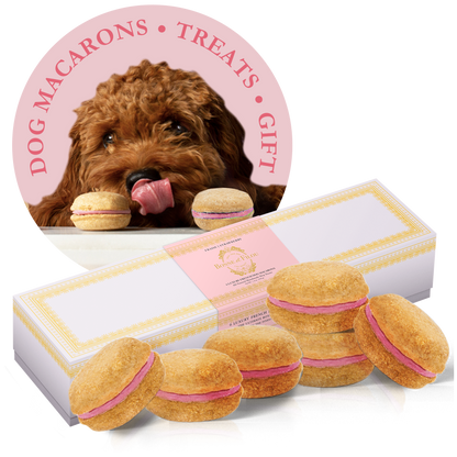 Macarons para perros Bonne et Filou (Caja de 6)