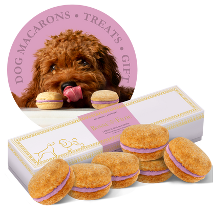 Macarons para perros Bonne et Filou (Caja de 6)