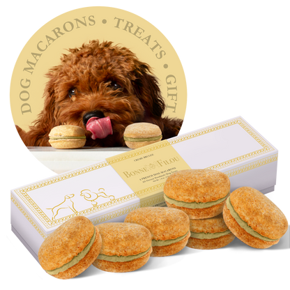 Macarons para perros Bonne et Filou (Caja de 6)