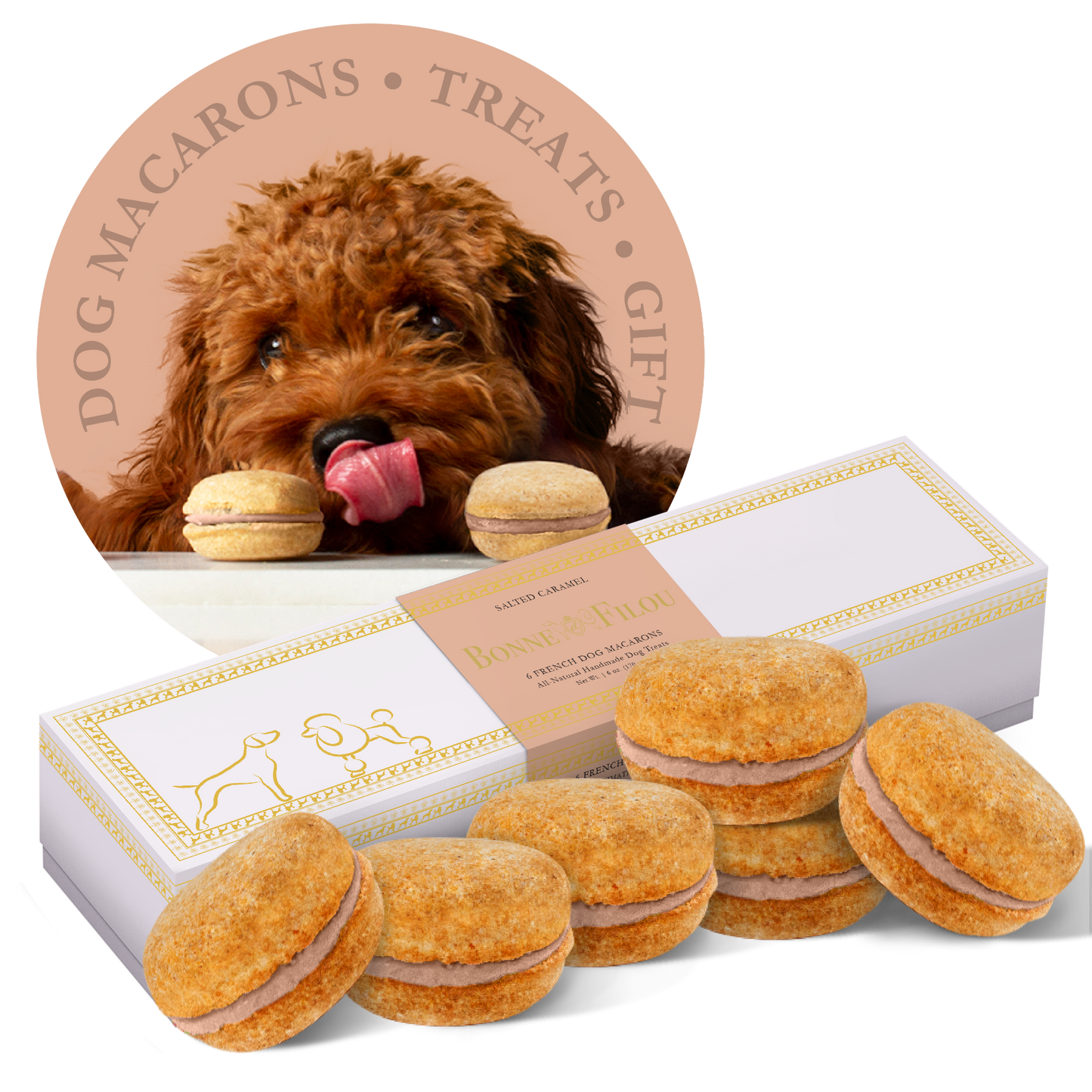 Bonne et Filou Dog Macarons (Box of 6)