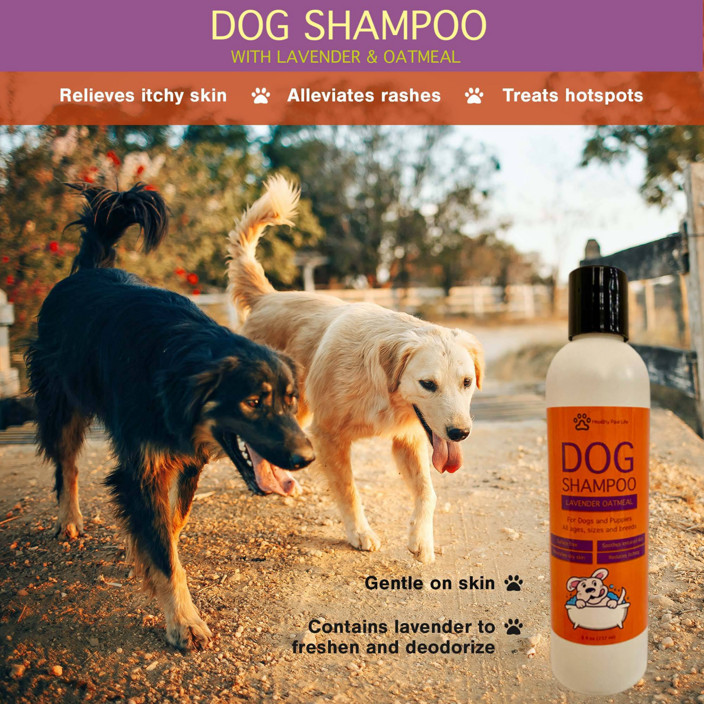 Oatmeal Lavender Pet Shampoo (8 oz)