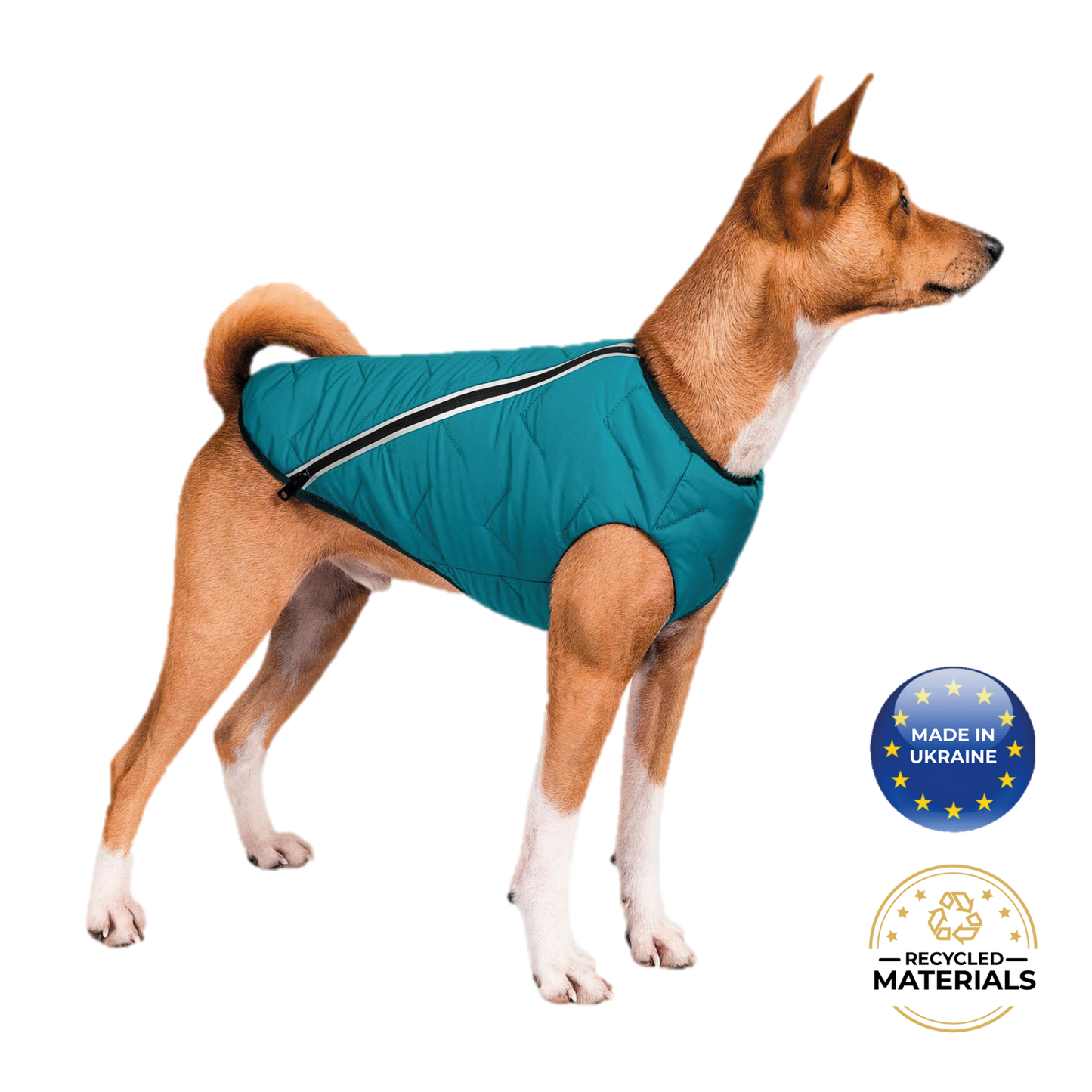 Chaqueta / chaleco para perros sostenible y ecológico Bonne et Filou