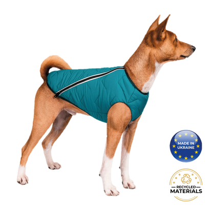 Chaqueta / chaleco para perros sostenible y ecológico Bonne et Filou