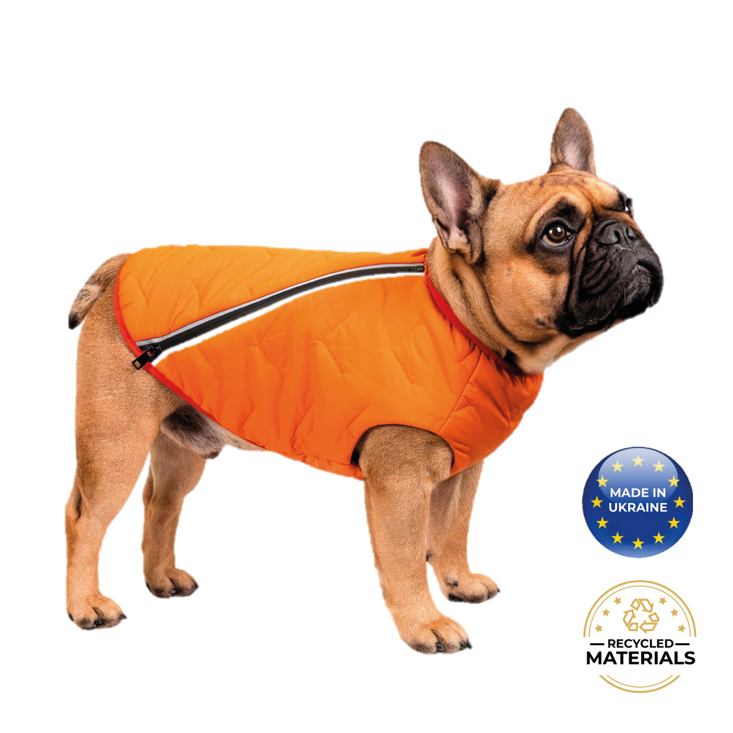 Chaqueta / chaleco para perros sostenible y ecológico Bonne et Filou