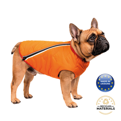 Chaqueta / chaleco para perros sostenible y ecológico Bonne et Filou