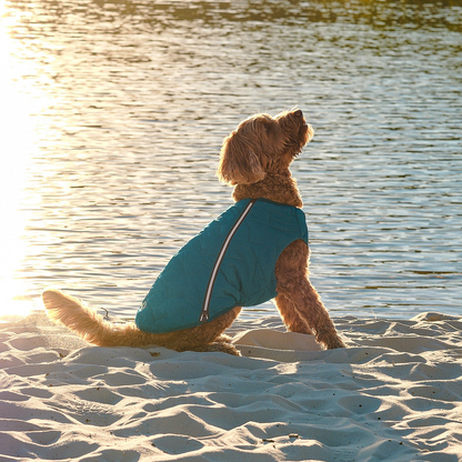 Chaqueta / chaleco para perros sostenible y ecológico Bonne et Filou