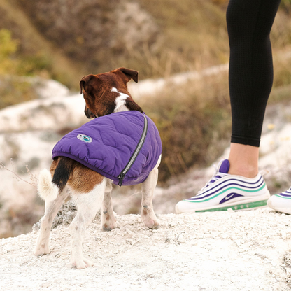 Chaqueta / chaleco para perros sostenible y ecológico Bonne et Filou