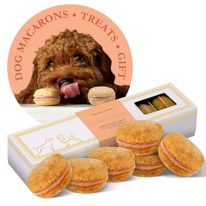 Macarons para perros Bonne et Filou (cuenta de 6)