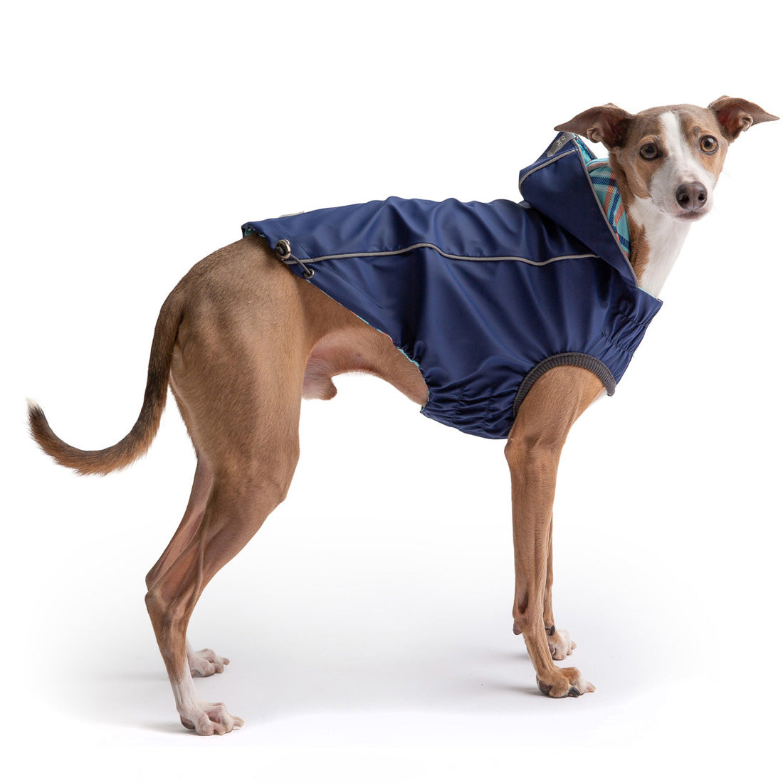 Chubasquero reversible GF Pet con ajuste elasto - Azul marino