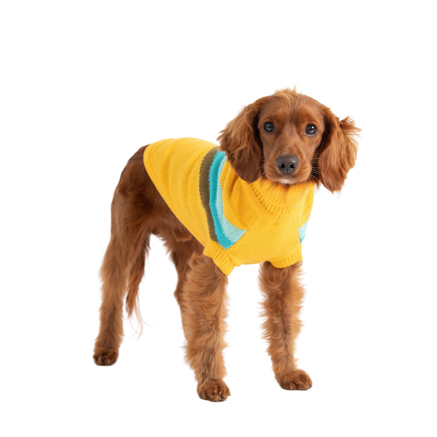 GF Pet Alpine Sweater - Yellow