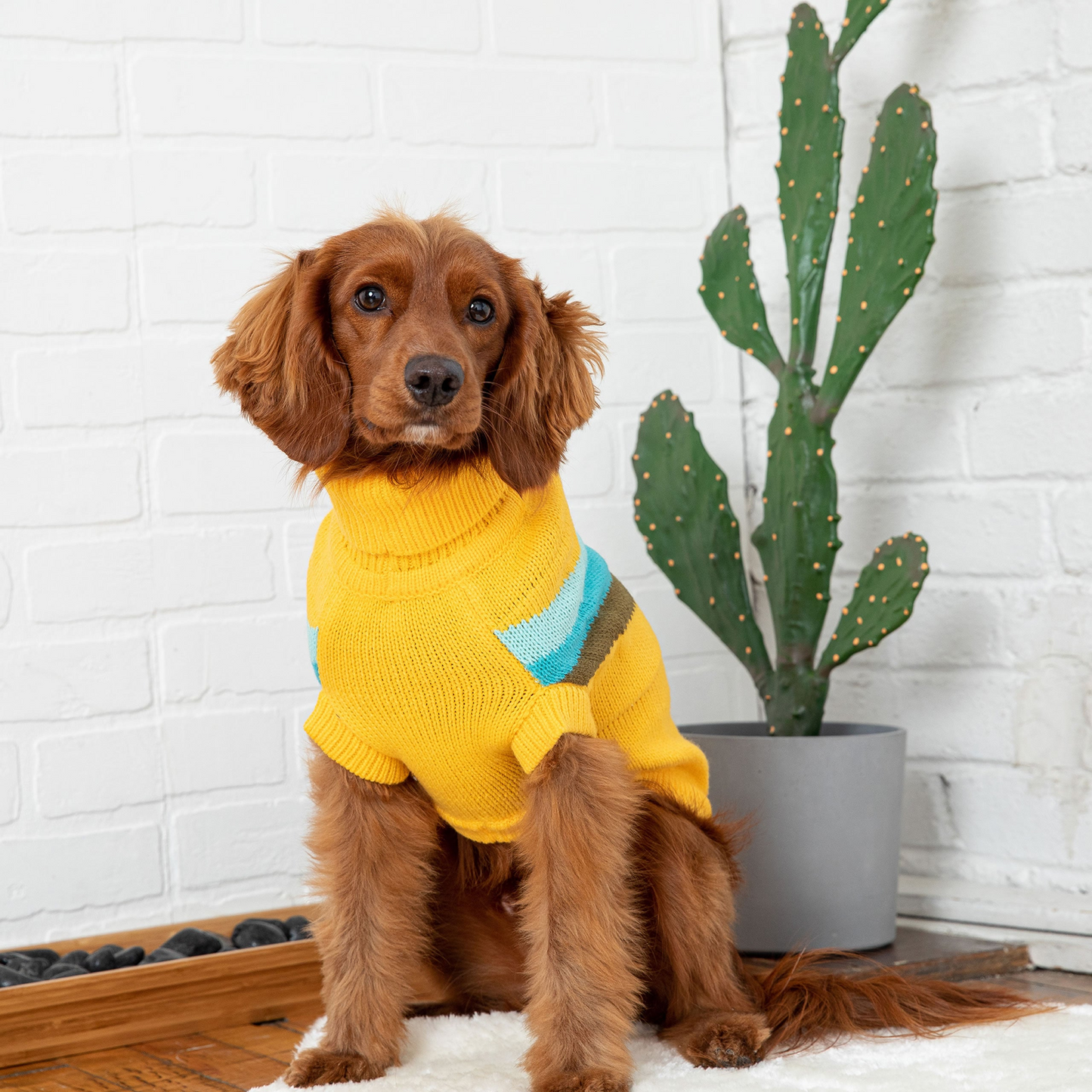 GF Pet Alpine Sweater - Yellow