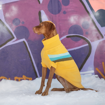 GF Pet Alpine Sweater - Yellow