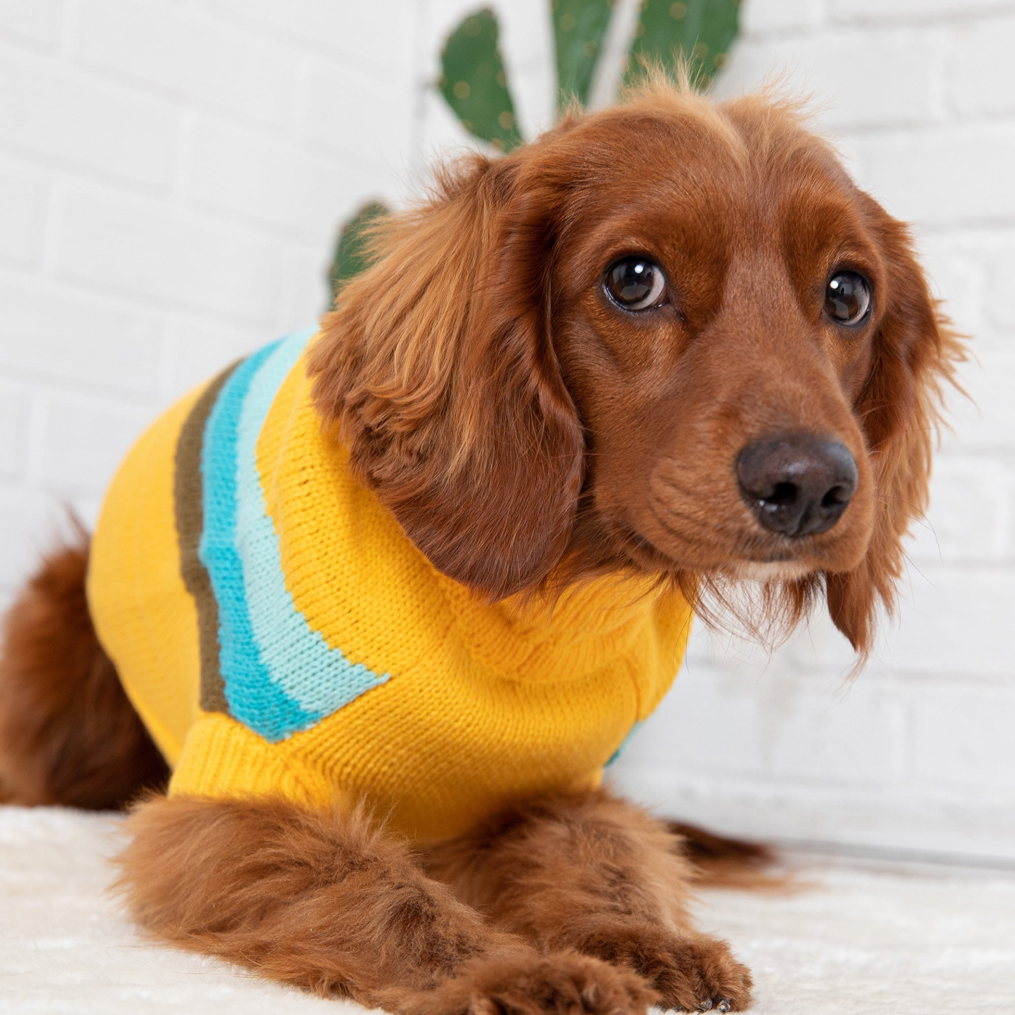 GF Pet Alpine Sweater - Yellow