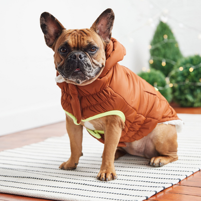 GF PET Super Puff Parka - Hazel