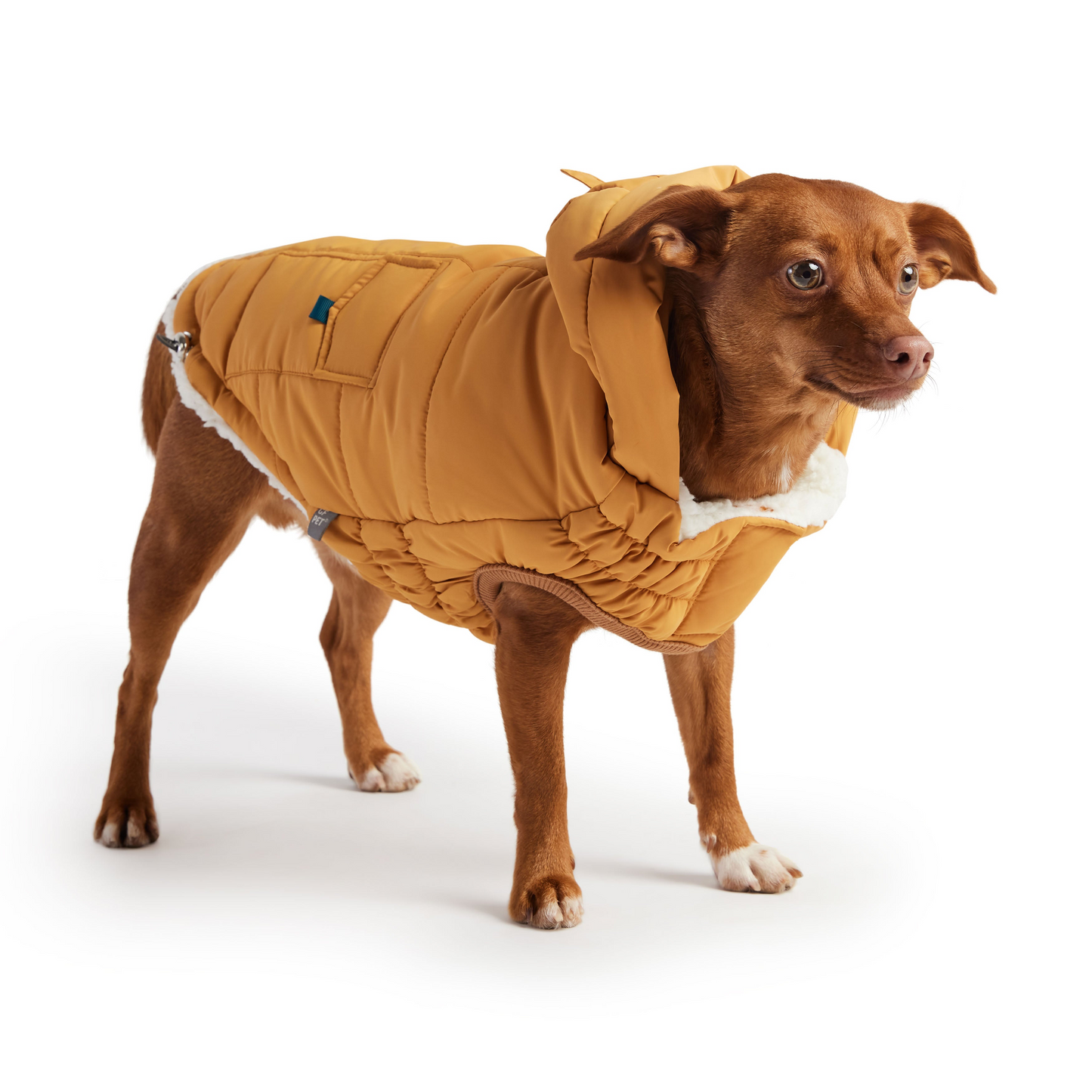 Parka GF PET Super Puff - Amarillo