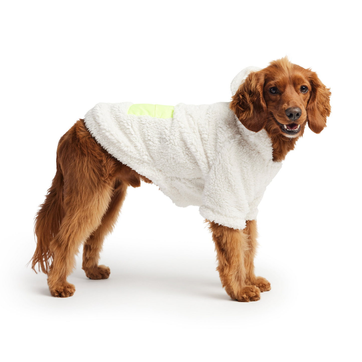 Sudadera con capucha GF PET Cozy - Blanco