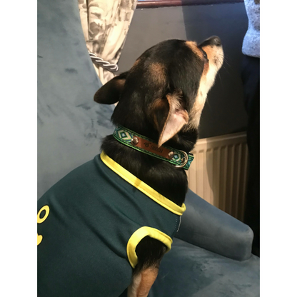 Loki Dog Collar