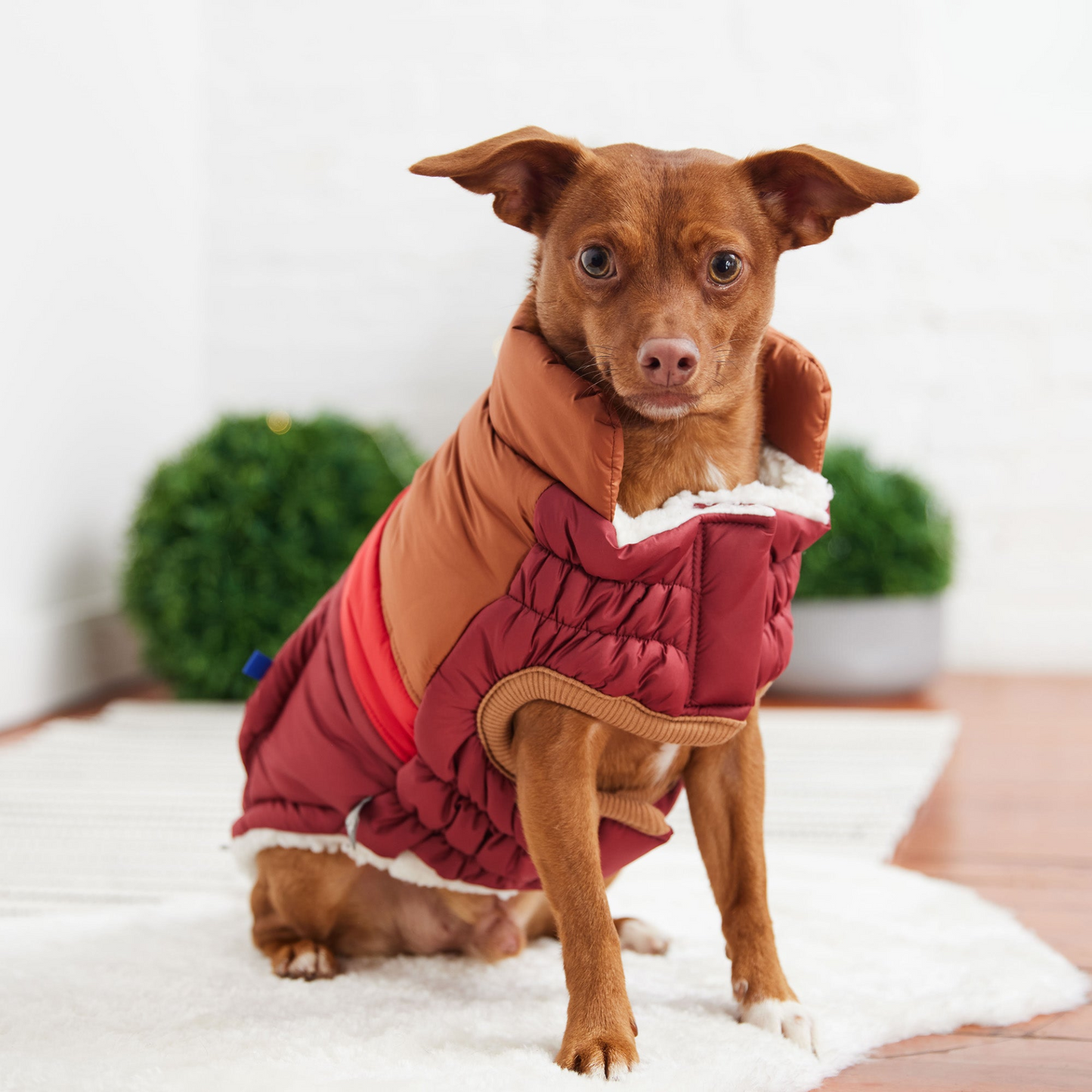 GF Pet Retro Puffer - Dark Red