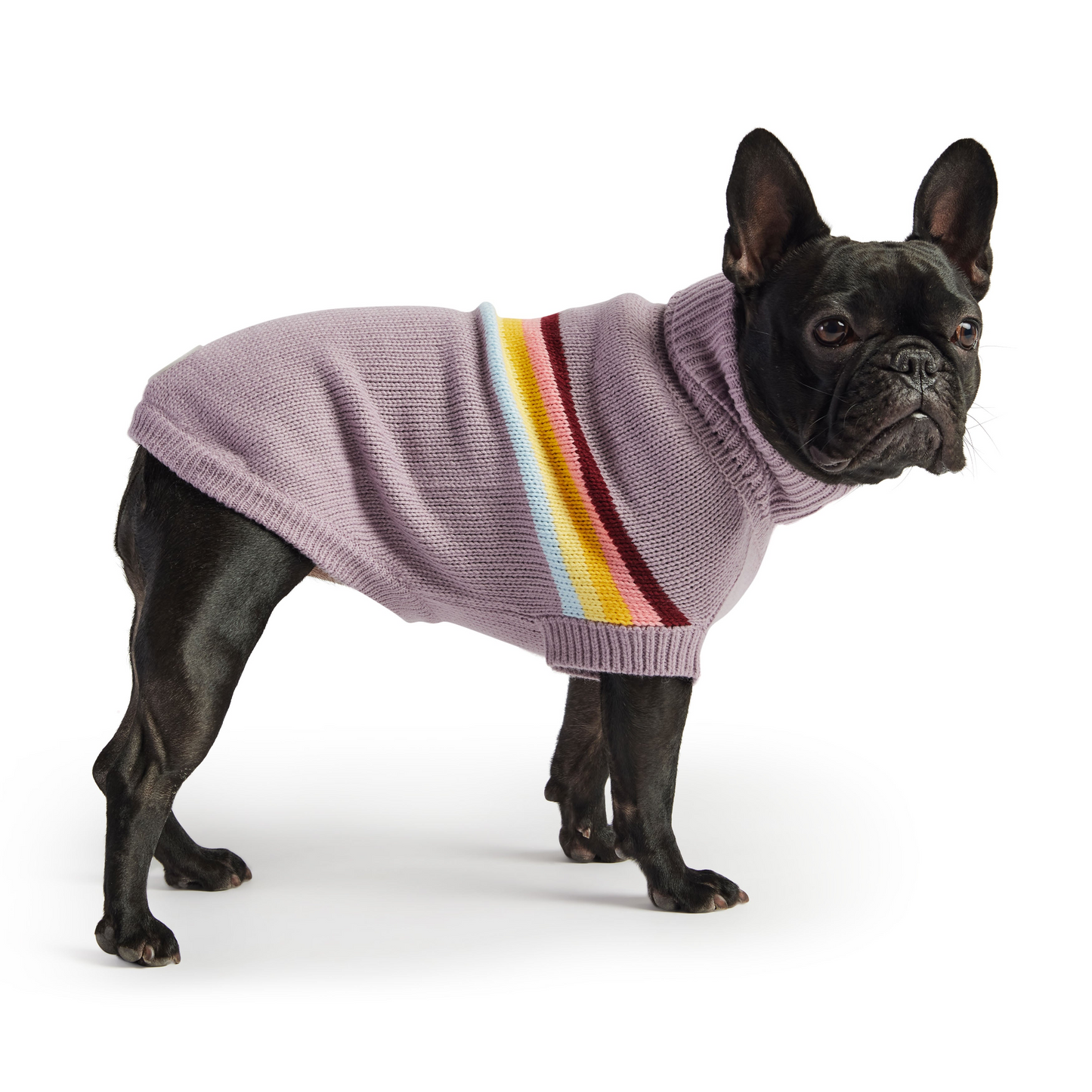 GF PET Retro Sweater - Lavender