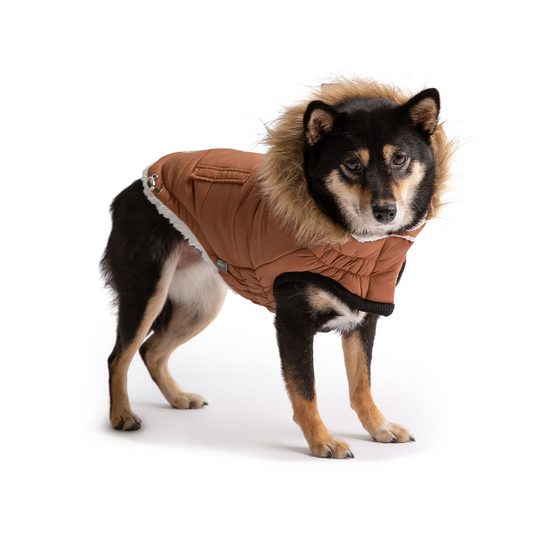 GF PET Urban Parka - Caramel