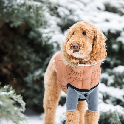 GF PET Urban Parka - Caramel