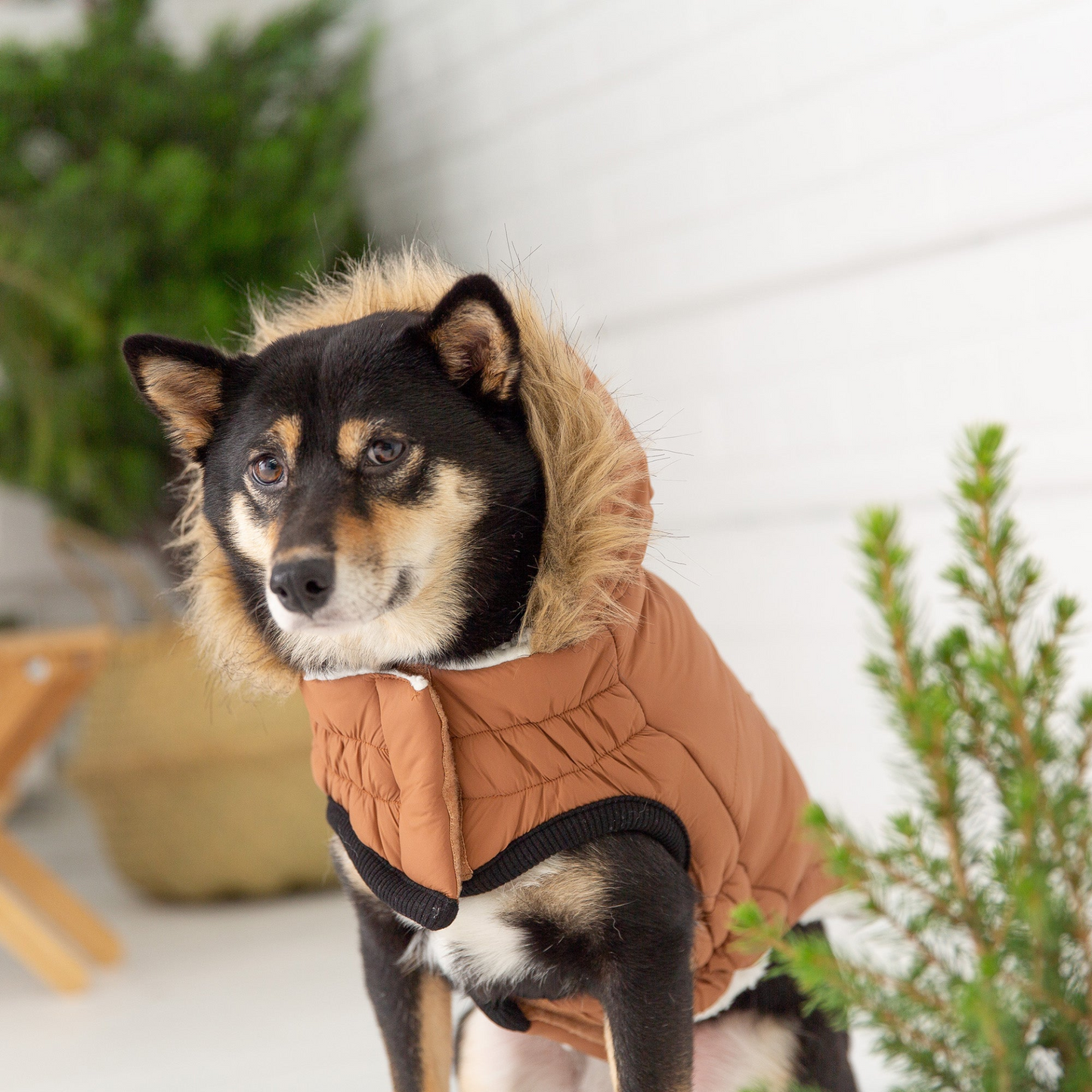 Parka urbana GF PET - Caramelo