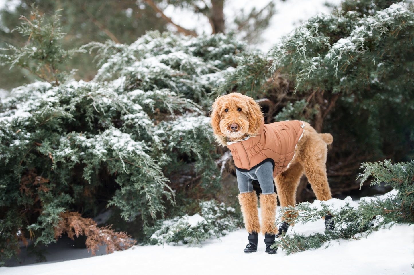 Parka urbana GF PET - Caramelo