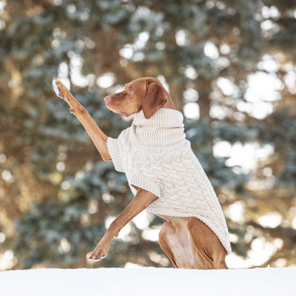 Suéter Chalet: Acoge a tu cachorro con un lujo atemporal