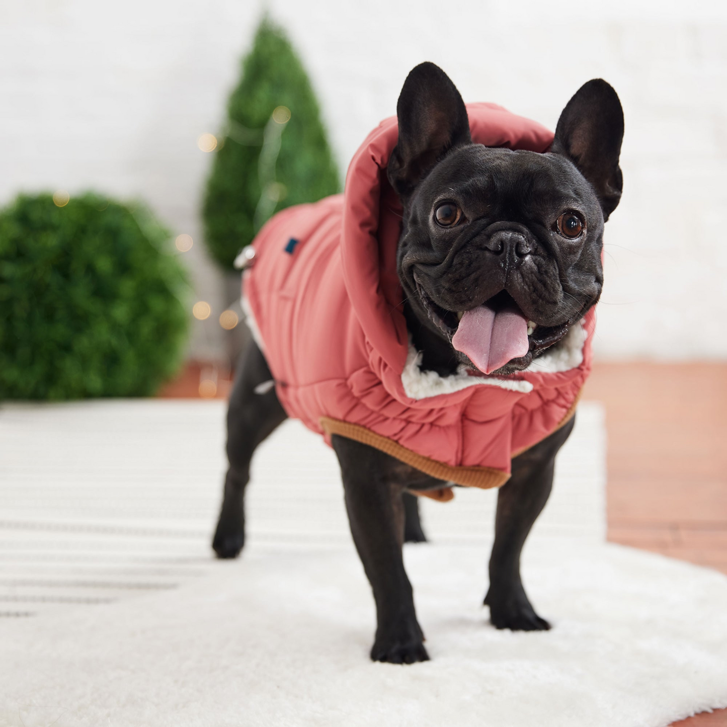 GF Pet Super Puff Parka - Pink