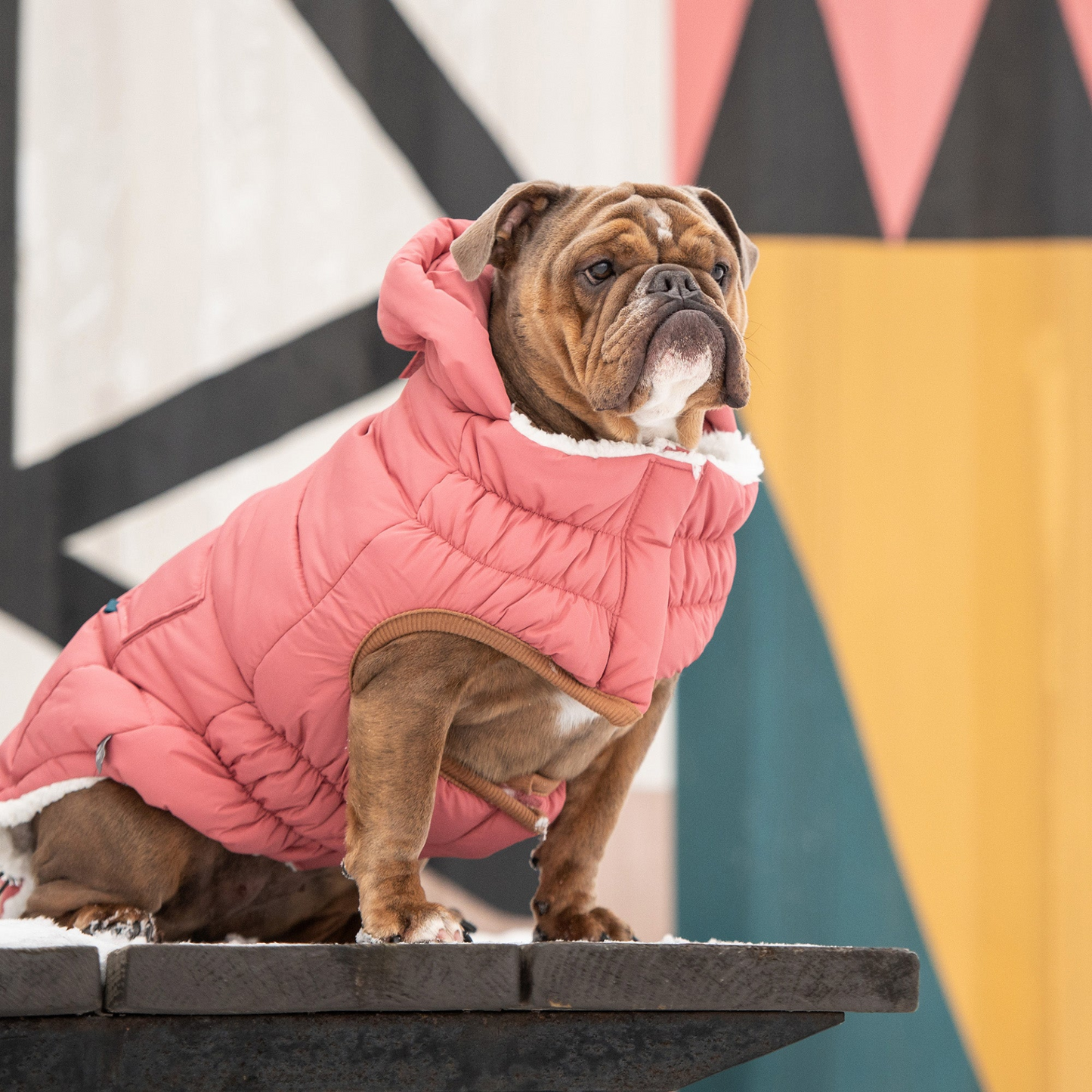 GF Pet Super Puff Parka - Pink