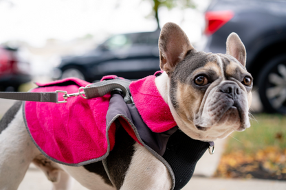 Chaqueta Polar Térmica para Perros 2 en 1 con Arnés Integrado - Fucsia