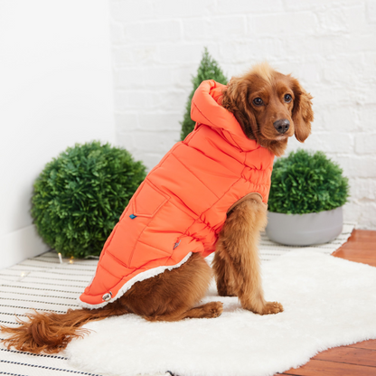 GF Pet Super Puff Parka - Orange