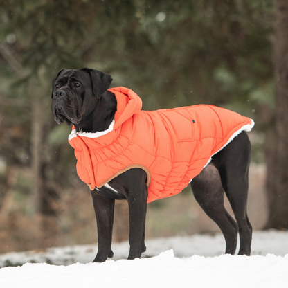 GF Pet Super Puff Parka - Orange