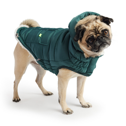 Parka GF Pet Super Puff - Verde azulado