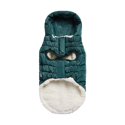 GF Pet Super Puff Parka - Teal