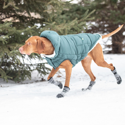 GF Pet Super Puff Parka - Teal