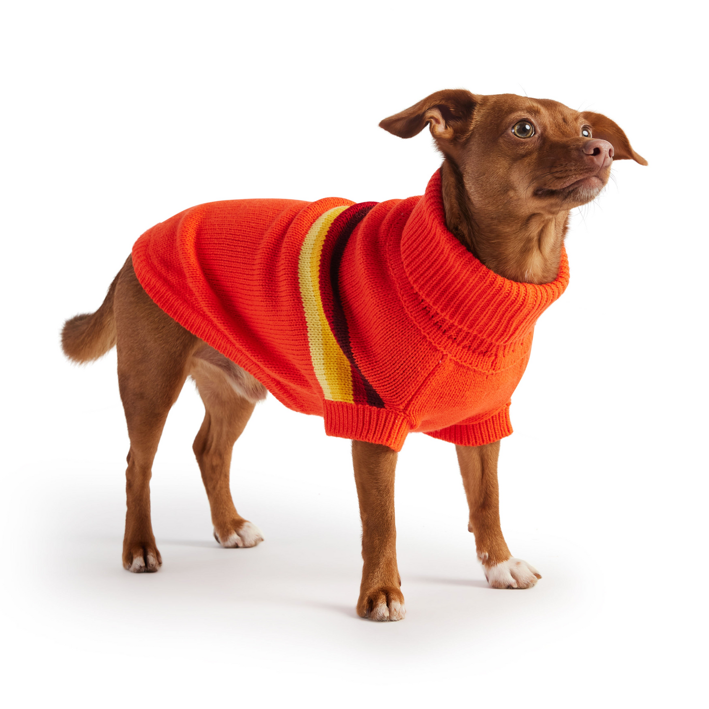 Jersey GF Pet Retro - Naranja