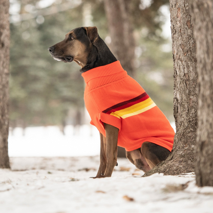 GF Pet Retro Sweater - Orange