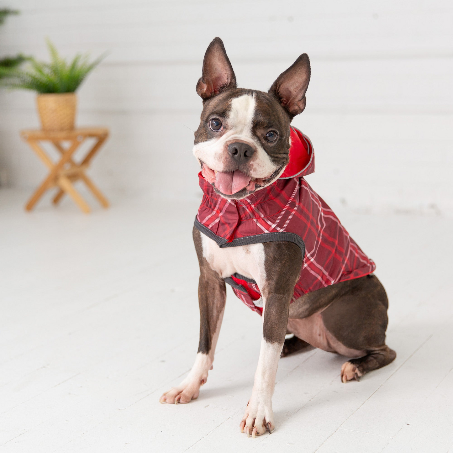 GF Pet Reversible Elasto-Fit Raincoat - Red