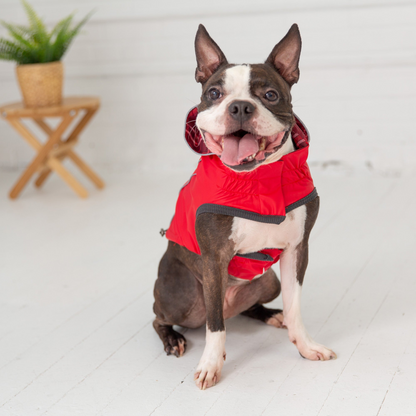 GF Pet Reversible Elasto-Fit Raincoat - Red